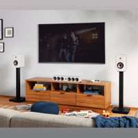 Polk Audio Signature Elite ES15 variant 8