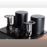 Mastersound Monoblock 845 (pair) variant 7