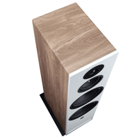 Davis Acoustics KRYPTON 10 variant 13