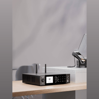 Arylic A100 100W x 2 Power amplifier with FM variant 11