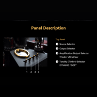 Cayin Soul 170HA variant 32