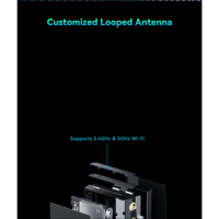 Cayin N6iii variant 31