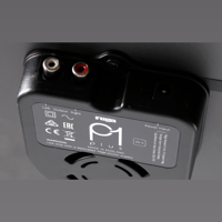 Rega Planar 1 Plus variant 9