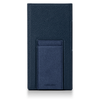 Astell & Kern PD20 Case variant 7