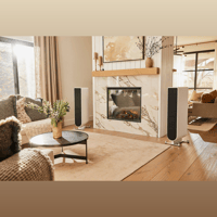 PS Audio Aspen FR10 Loudspeaker variant 2