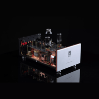 SW1x MPA IV “Aurora” Mono Power Amplifier variant 7