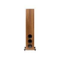 MartinLogan Motion Foundation F1 variant 6