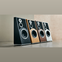 Audiovector Trapeze Reimagined variant 12