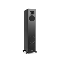 MartinLogan Motion F20 variant 9