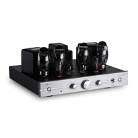Cary Audio SLI-100 Integrated Amplifier variant 5
