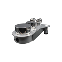 Audio Mirror ADDICTION power amp PSET mono blocks variant 3