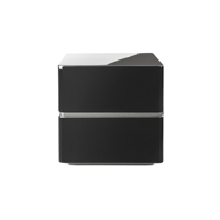 MartinLogan Dynamo 10 variant 5