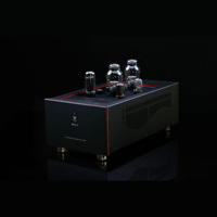 SW1x MPA V “Atlas” PP Mono Power Amplifier variant 10