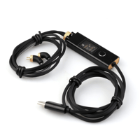 RAPTGO RAPTGO MR-10 Type-C Audio Cable: 0.78mm/2PIN, Advanced DAC Technology variant 3