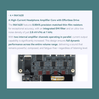 Cayin T201 Audio Motherboard variant 9