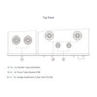Cayin HA-6A MK2 variant 22