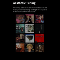 Aune S10N  Network Music Player variant 24