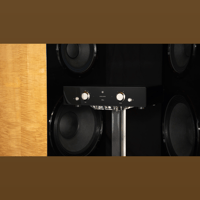 Daniel Hertz Bi-amplified M1 variant 11