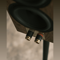 Buchardt Audio E50 variant 23
