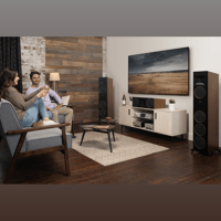 MartinLogan Motion XT F100 variant 46