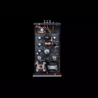 SW1x MPA II “Morpheus” Mono Power Amplifier variant 11