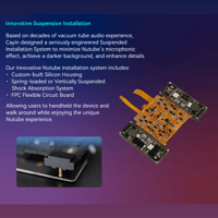 Cayin C9ii variant 10