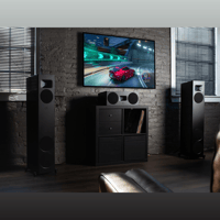 MartinLogan Motion F20 variant 23