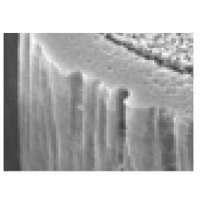 ANALOG RELAX Analog Relax Anti-Static Brush variant 9