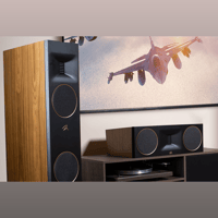 MartinLogan Motion XT F100 variant 1