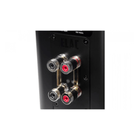 ELAC BS2434 variant 6