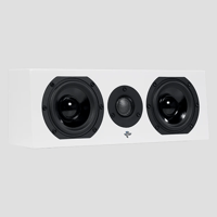 Totem Acoustic KIN Flex variant 2