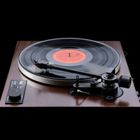 Dual CS 529 variant 8