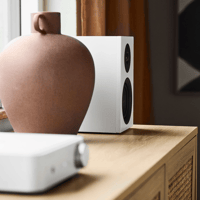 Argon Audio SA1 MK2 + FORUS 4 variant 17