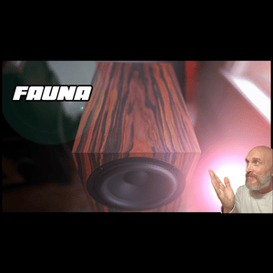 Thumbnail of the video review https://www.youtube.com/watch?v=E5TlpkON0PE