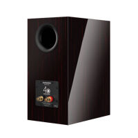 Dynaudio Special Forty variant 10
