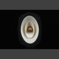 SW1x XCalibur Horn Loudspeakers variant 14