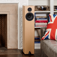 Totem Acoustic Bison Tower variant 2