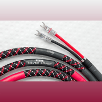 Silver Sonic Deity variant 1