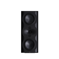 Perlisten R5m variant 1