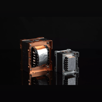 SW1x Audio Transformers variant 14