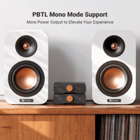 Fosi Audio Fosi Audio ZA3 Balanced Stereo Amplifier variant 5