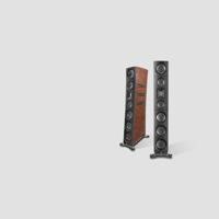 Borresen Acoustics Børresen T5 variant 1