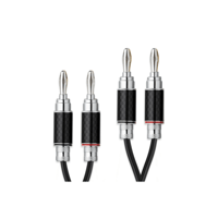 Pro-ject Audio Systems - USA Connect it LS RS variant 1