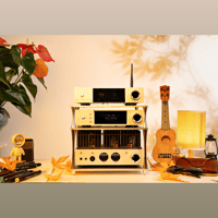 Cayin iDAC-8 variant 16