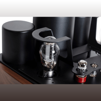 Mastersound Compact 300B variant 7