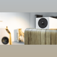 Boenicke W22 variant 4