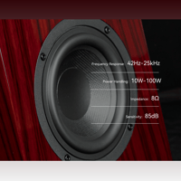 Cayin T30 MK2 variant 6