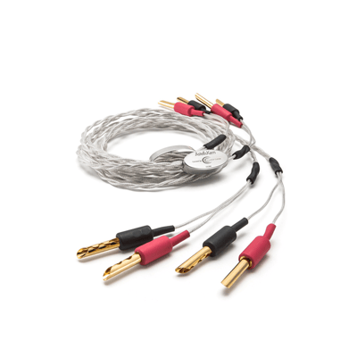 Astell & Kern DEF21