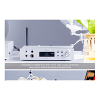 Cayin BTC-2 variant 16