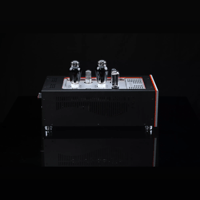 SW1x MPA IV “Aurora” Mono Power Amplifier variant 24